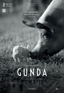 GUNDA | Pokazy z okazji Międzynarodowego Miesiąca Dobroci dla Zwierząt