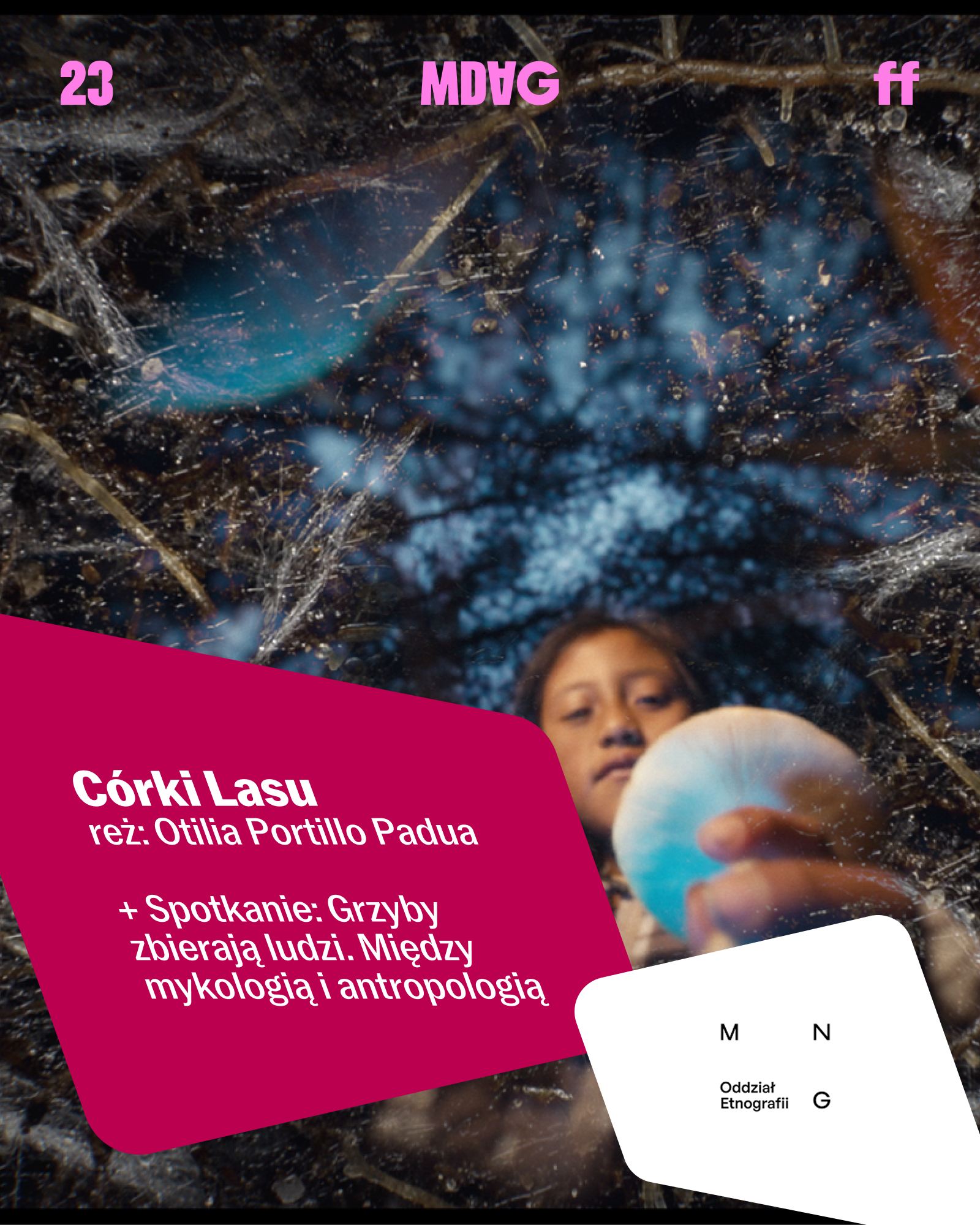 CÓRKI LASU + spotkanie: GRZYBY ZBIERAJĄ LUDZI. MIĘDZY MYKOLOGIĄ I ANTROPOLOGIĄ | 23. MDAG