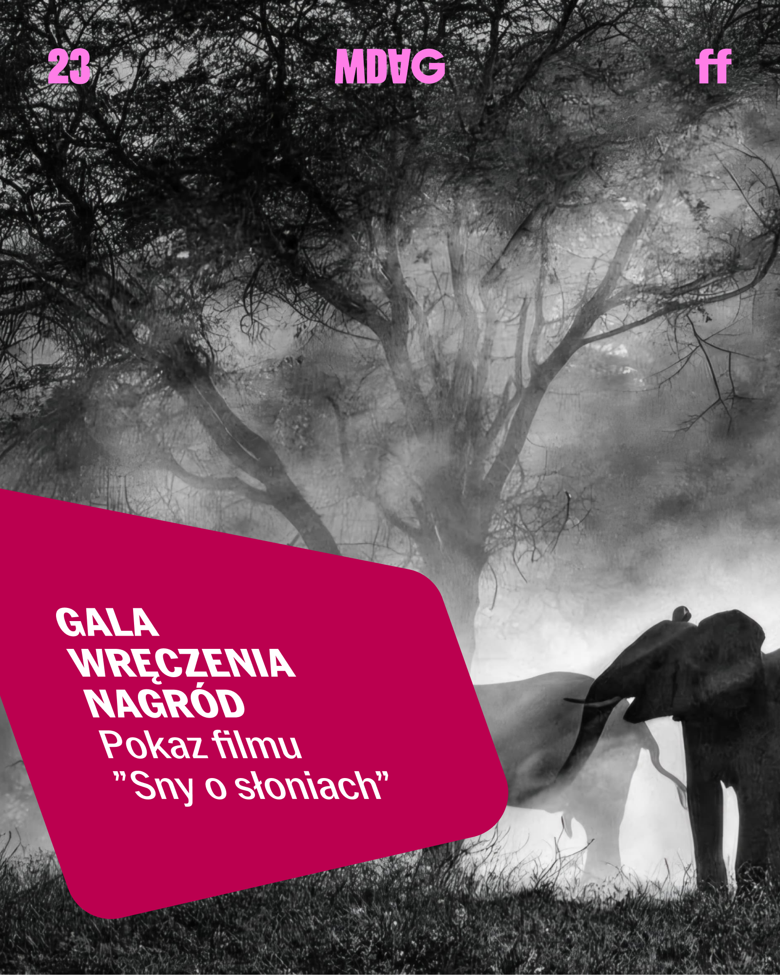 GALA WRĘCZENIA NAGRÓD + pokaz filmu SNY O SŁONIACH | 23. MDAG